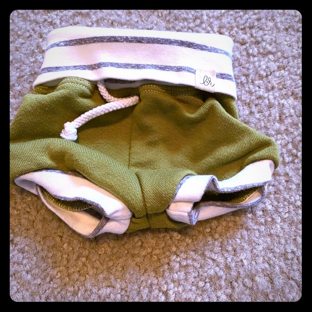 Luluroo shorts